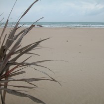 Spiaggia di Tortoreto Lido